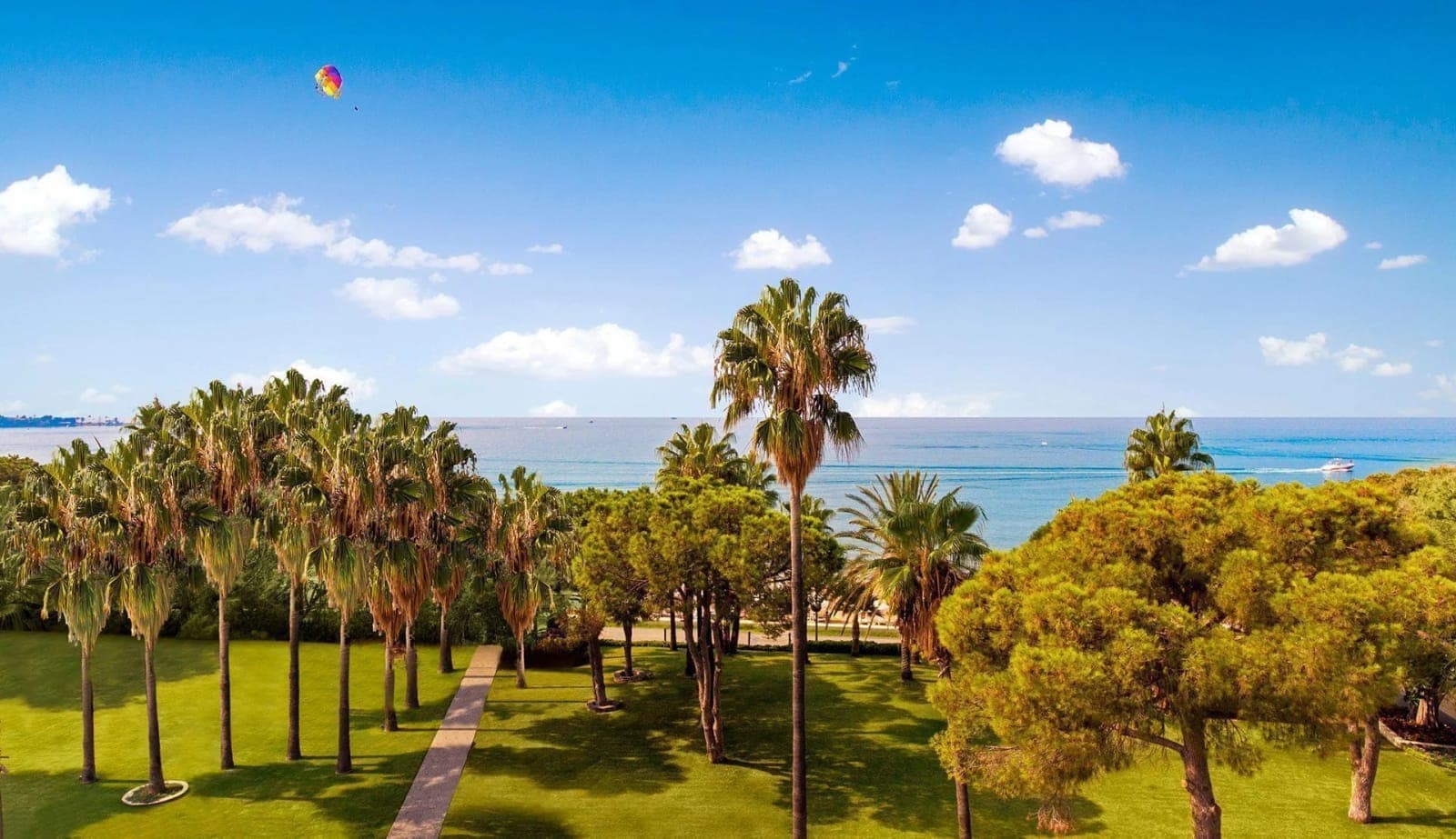 Acanthus & Cennet Barut Collection — 5