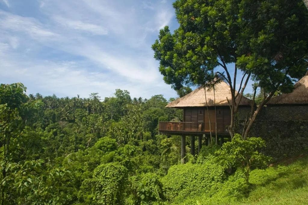 ALILA UBUD — 3