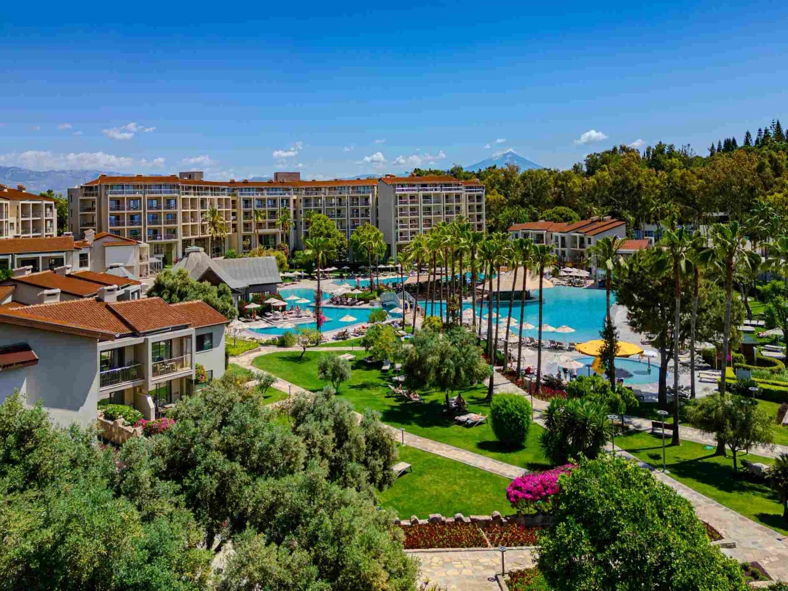 Arum Barut Collection — 4