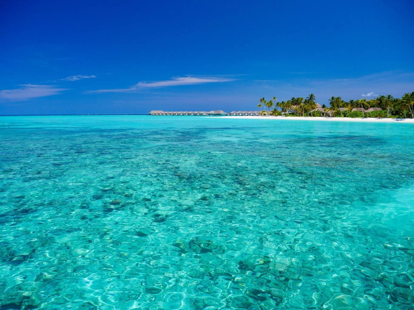 Baglioni Resort Maldives — 5