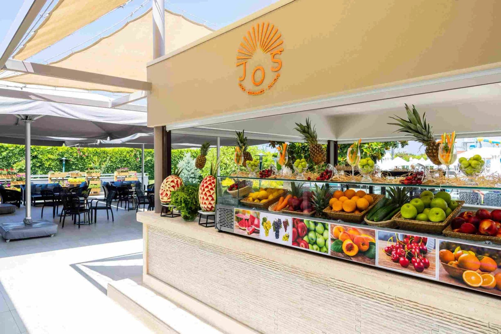 Barut Goia — 3