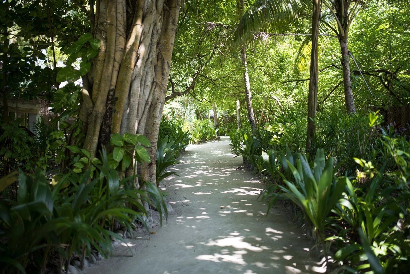 Biyadhoo Island Resort — 3