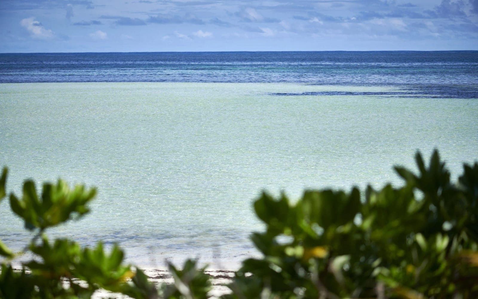 Canopy By Hilton Seychelles — 3