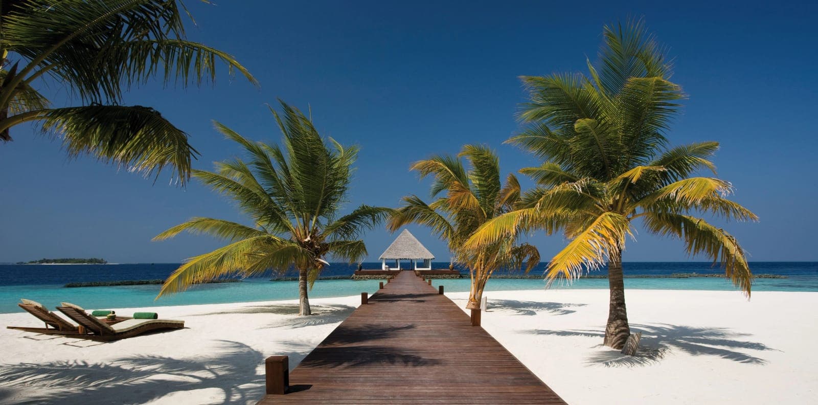 Coco Bodu Hithi — 5