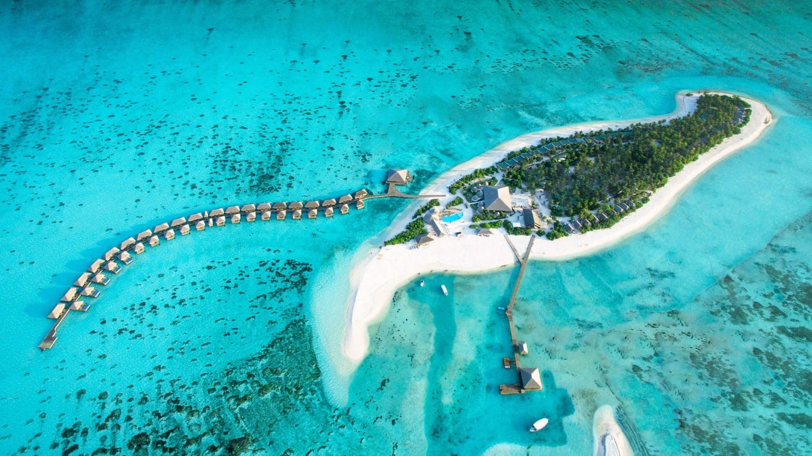 Cocoon Maldives — 4