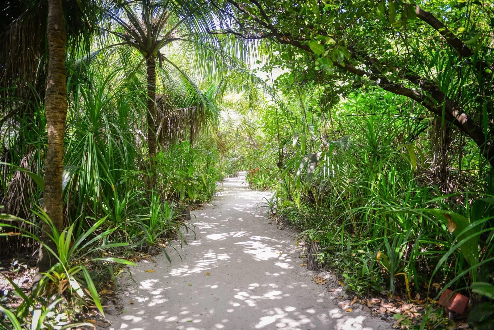 Coco Palm Dhuni Kolhu — 4