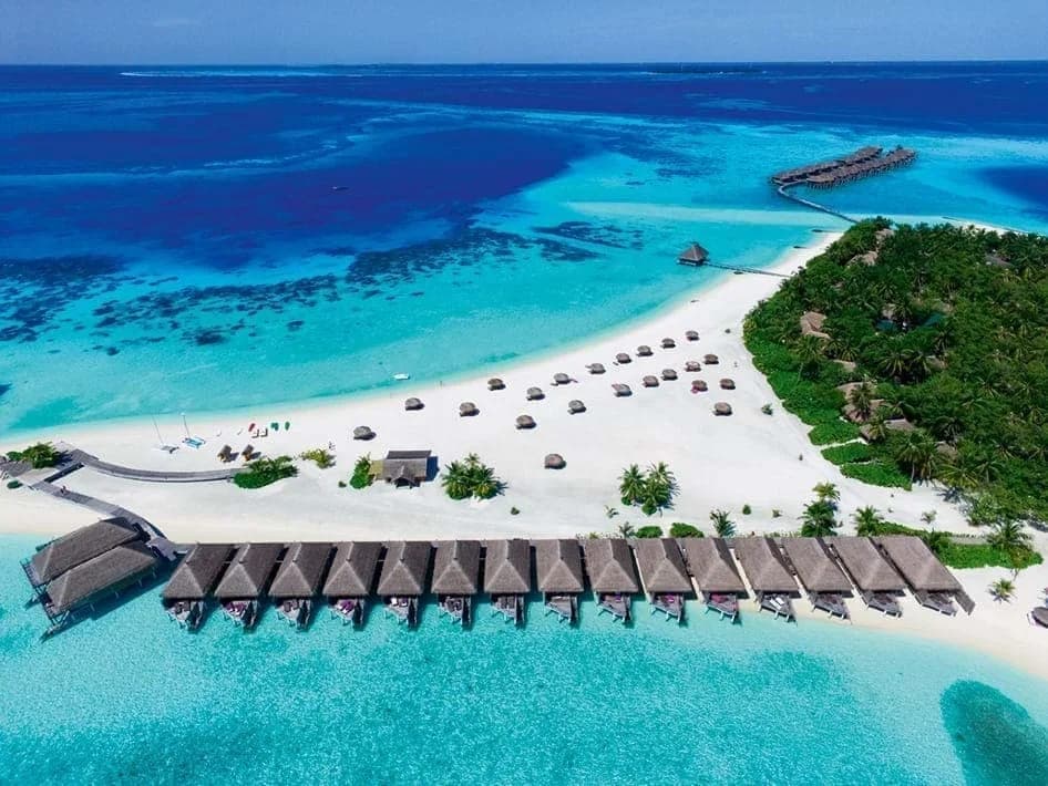 Constance Moofushi — 3