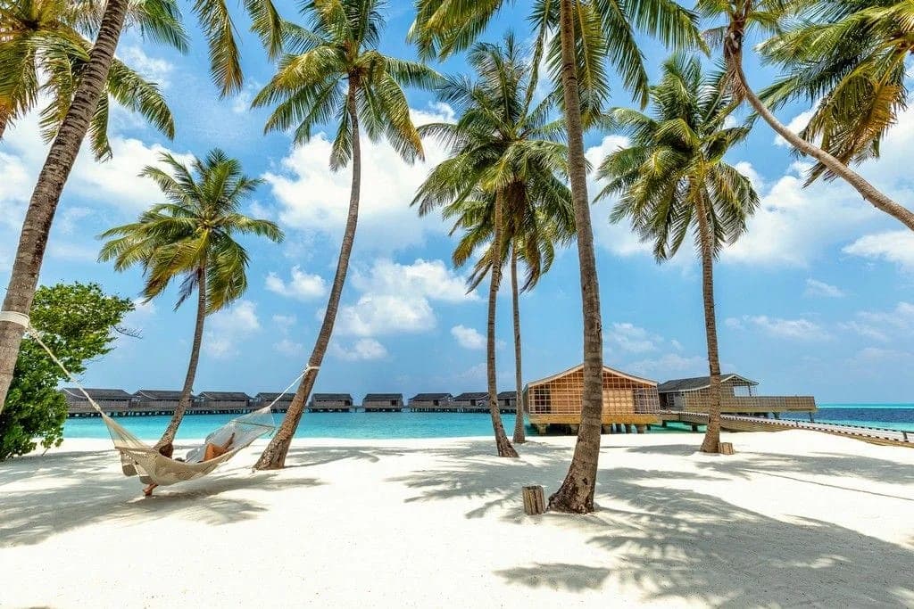 Kudadoo Maldives Private Island 5* Deluxe — 4