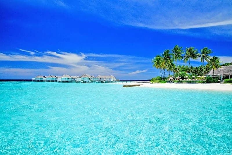 Machchafushi Island Resort & Spa, The Centara Collection — 4