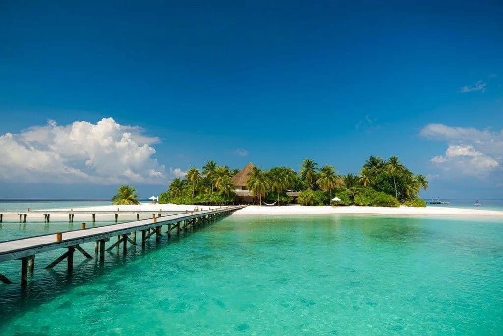 Mirihi Island Resort — 5
