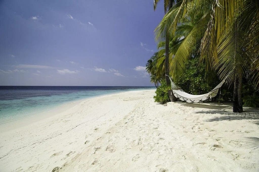 Mirihi Island Resort — 4