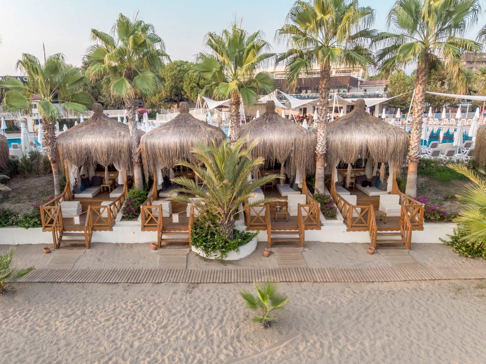 Paloma Oceana — 3