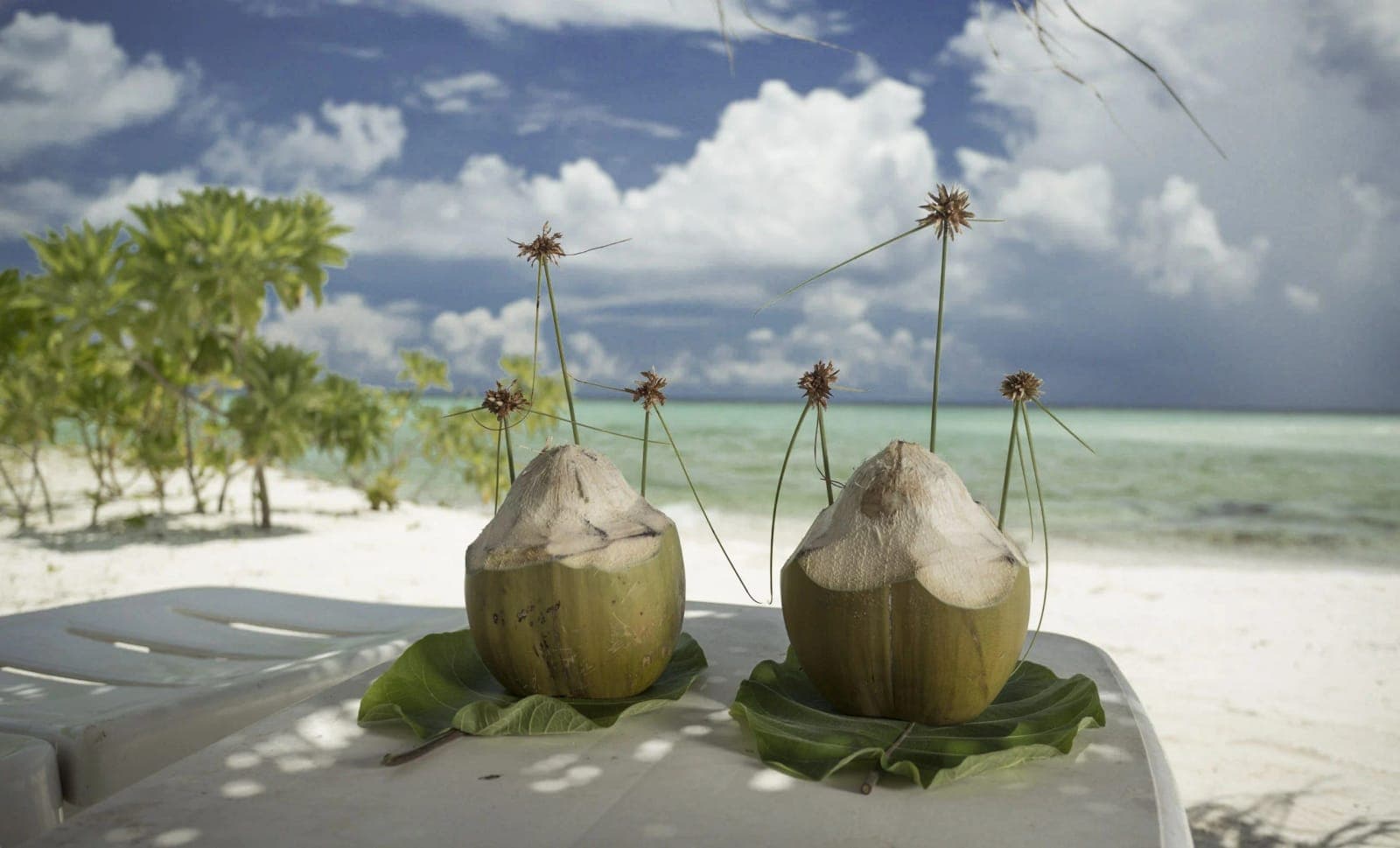 Reveries Diving Village Guest Houses — 4