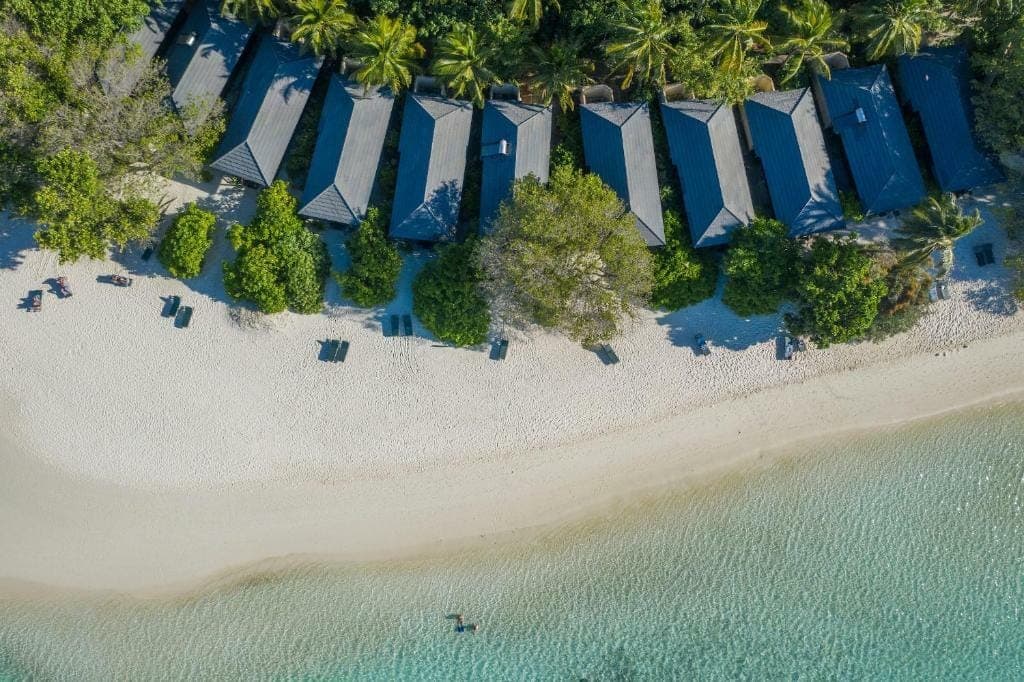 Royal Island — 5