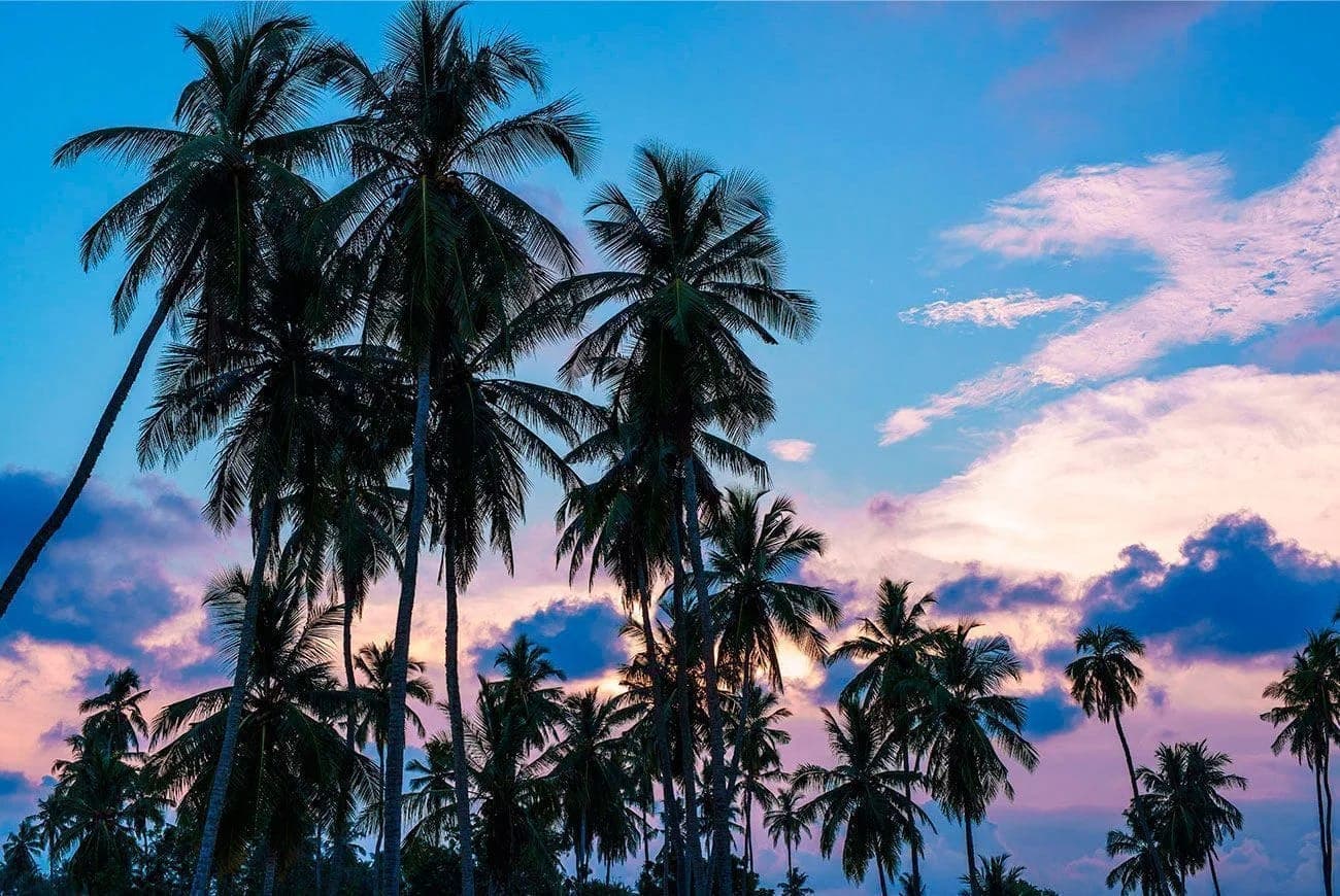 Shangri-La Hambantota 5* Deluxe — 3