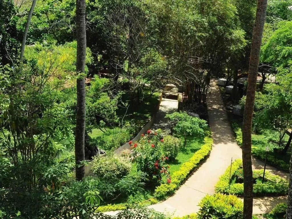 Siddhalepa  Ayurveda Resort — 5