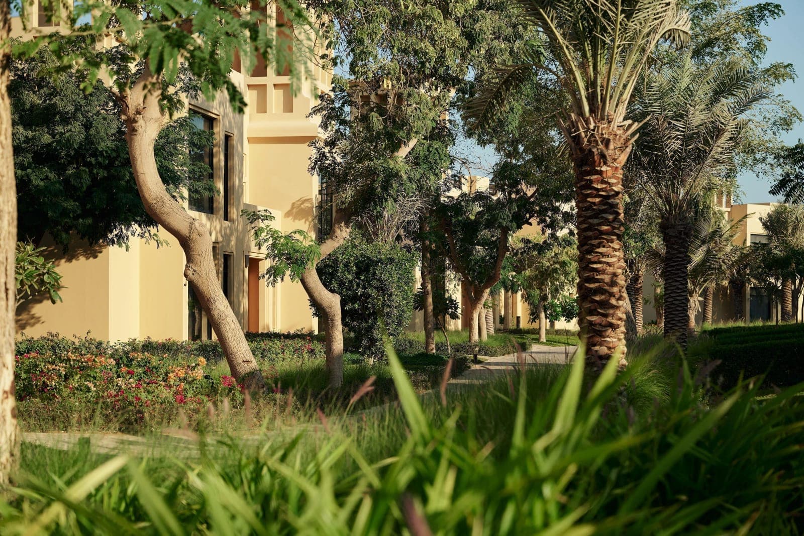 Sofitel Ras Al Khaimah Al Hamra Beach Resort — 5