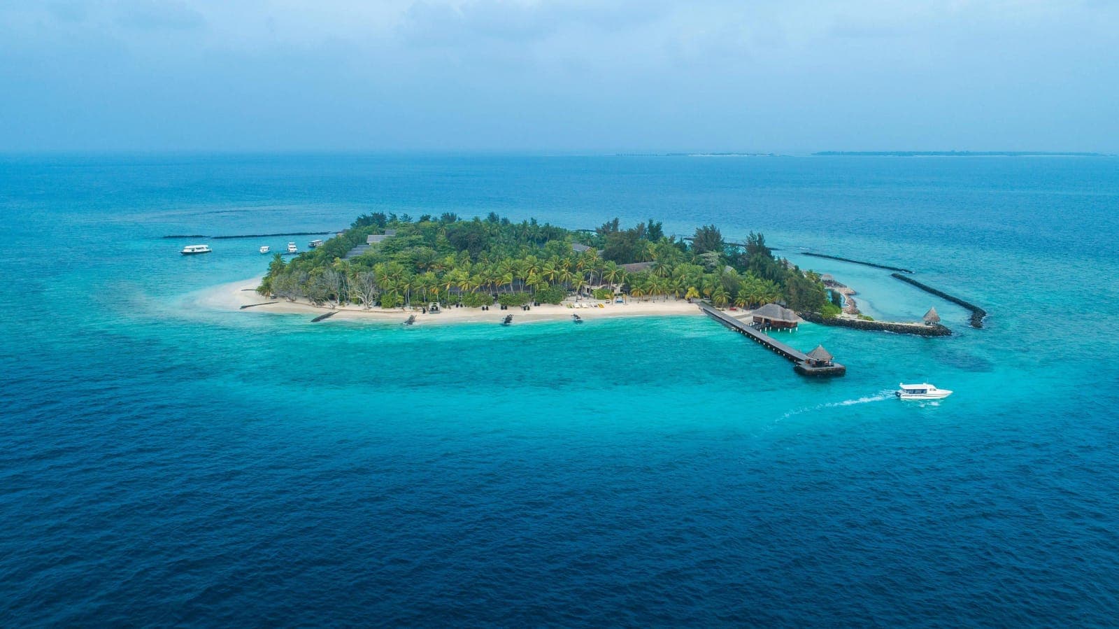 Taj Coral Reef Resort & Spa — 3
