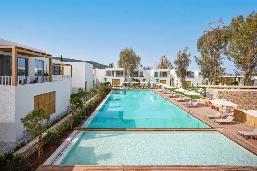 Voyage Torba — 2