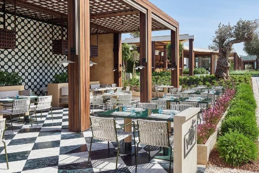 Voyage Torba — 5